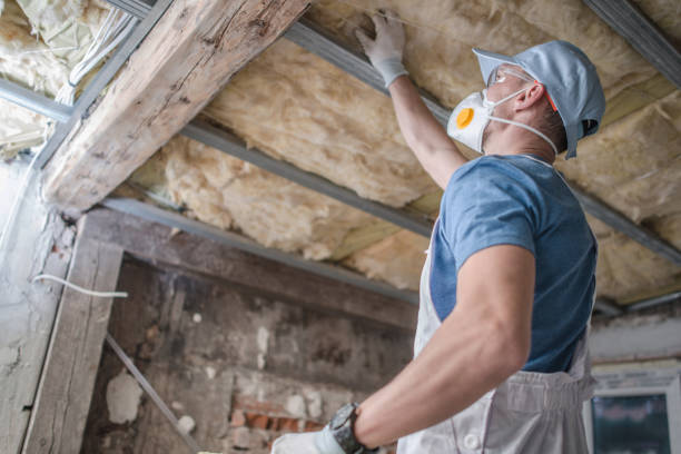 Best Insulation Maintenance and Repair in New Sarpy, LA