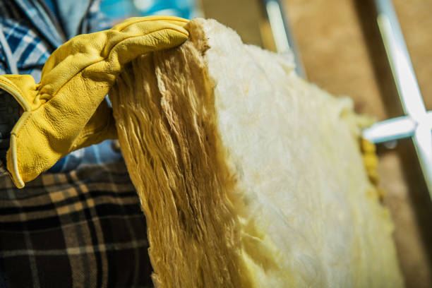 Best Commercial Insulation in New Sarpy, LA